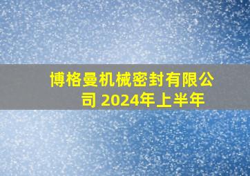 博格曼机械密封有限公司 2024年上半年